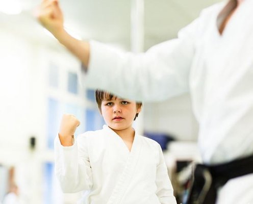 Silicon Valley Karate